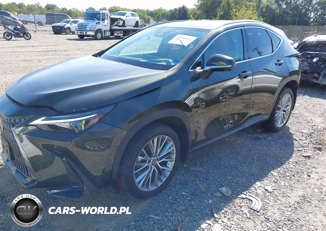 2024 Lexus Nx 350 Luxury VIN:2T2HGCEZ4RC035632 - 2