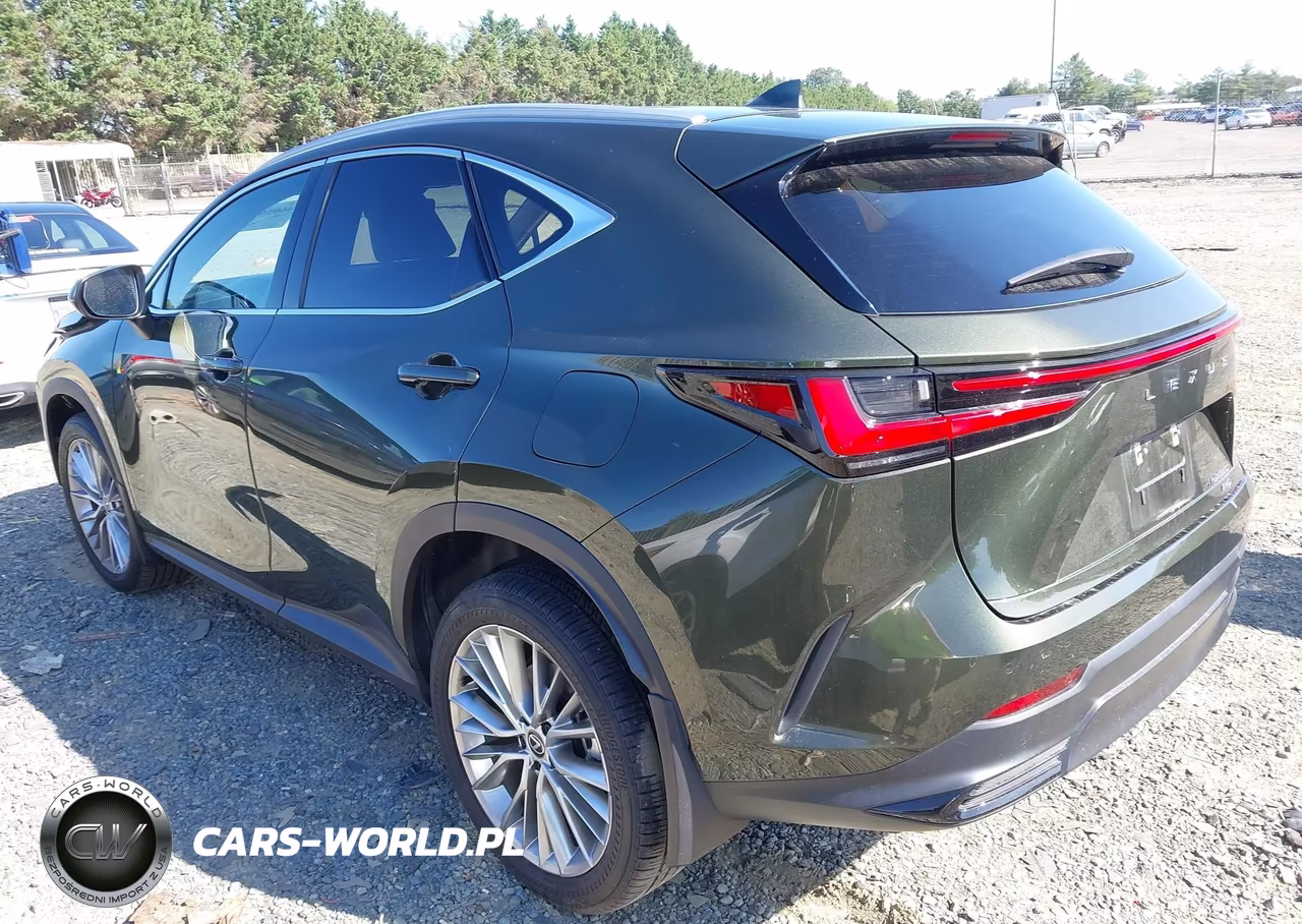 2024 Lexus Nx 350 Luxury VIN:2T2HGCEZ4RC035632 - 3