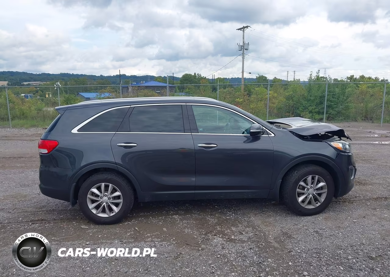 2018 Kia Sorento 2.4L Lx VIN:5XYPG4A35JG392656 - 13