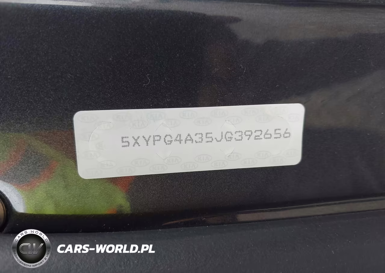 2018 Kia Sorento 2.4L Lx VIN:5XYPG4A35JG392656 - 9