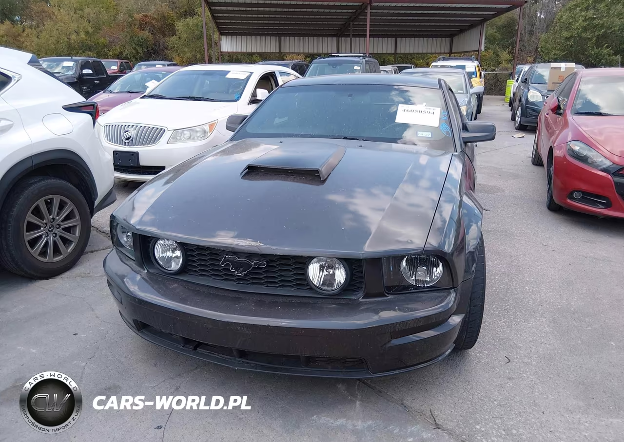 2009 Ford Mustang Gt Premium VIN:1ZVHT82H495120036 - 11