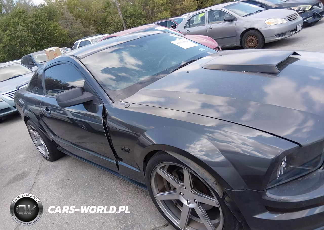 2009 Ford Mustang Gt Premium VIN:1ZVHT82H495120036 - 12