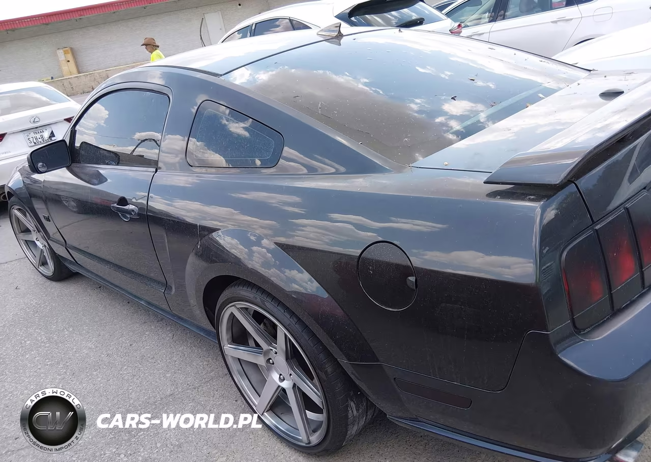 2009 Ford Mustang Gt Premium VIN:1ZVHT82H495120036 - 13