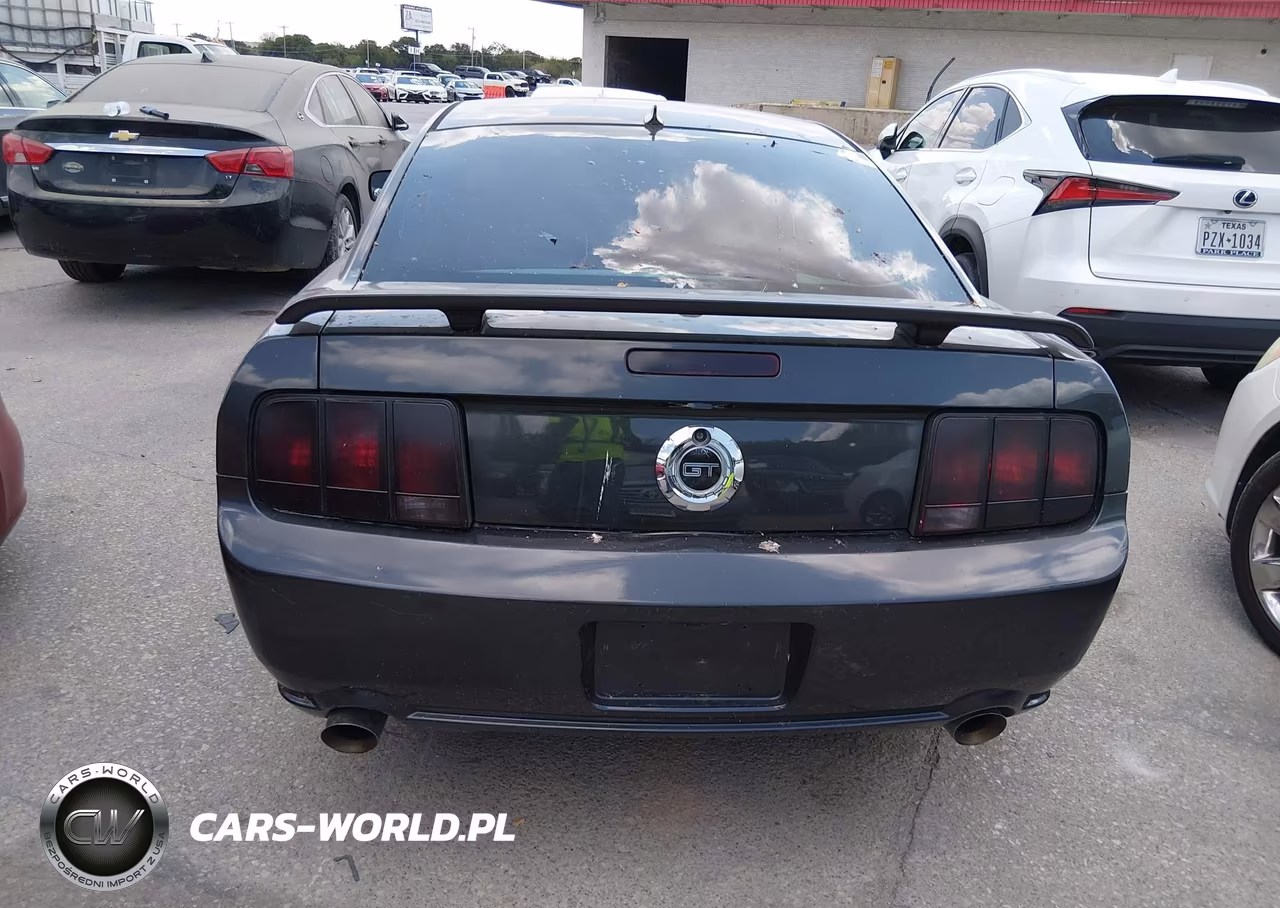 2009 Ford Mustang Gt Premium VIN:1ZVHT82H495120036 - 15