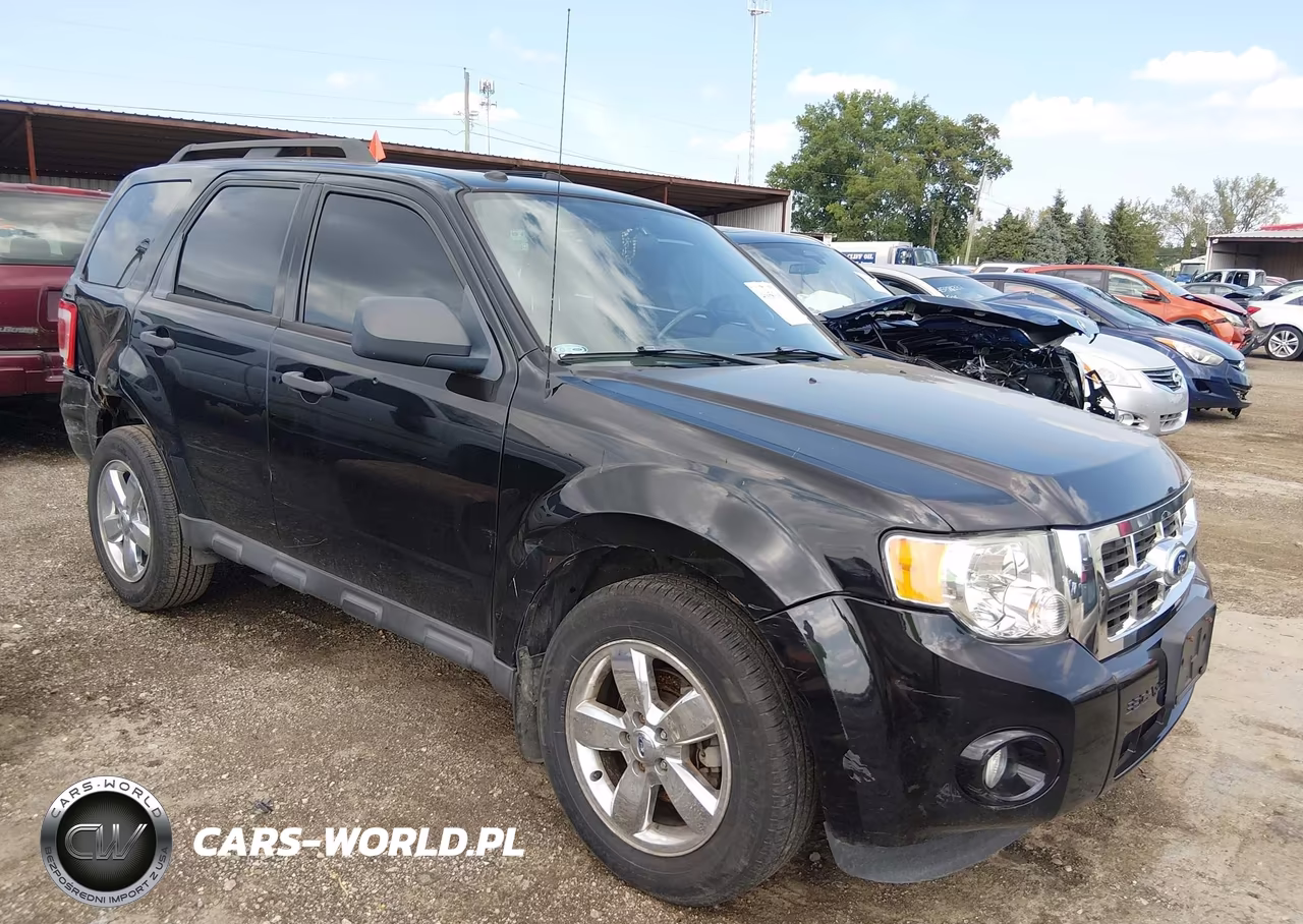 2010 Ford Escape Xlt