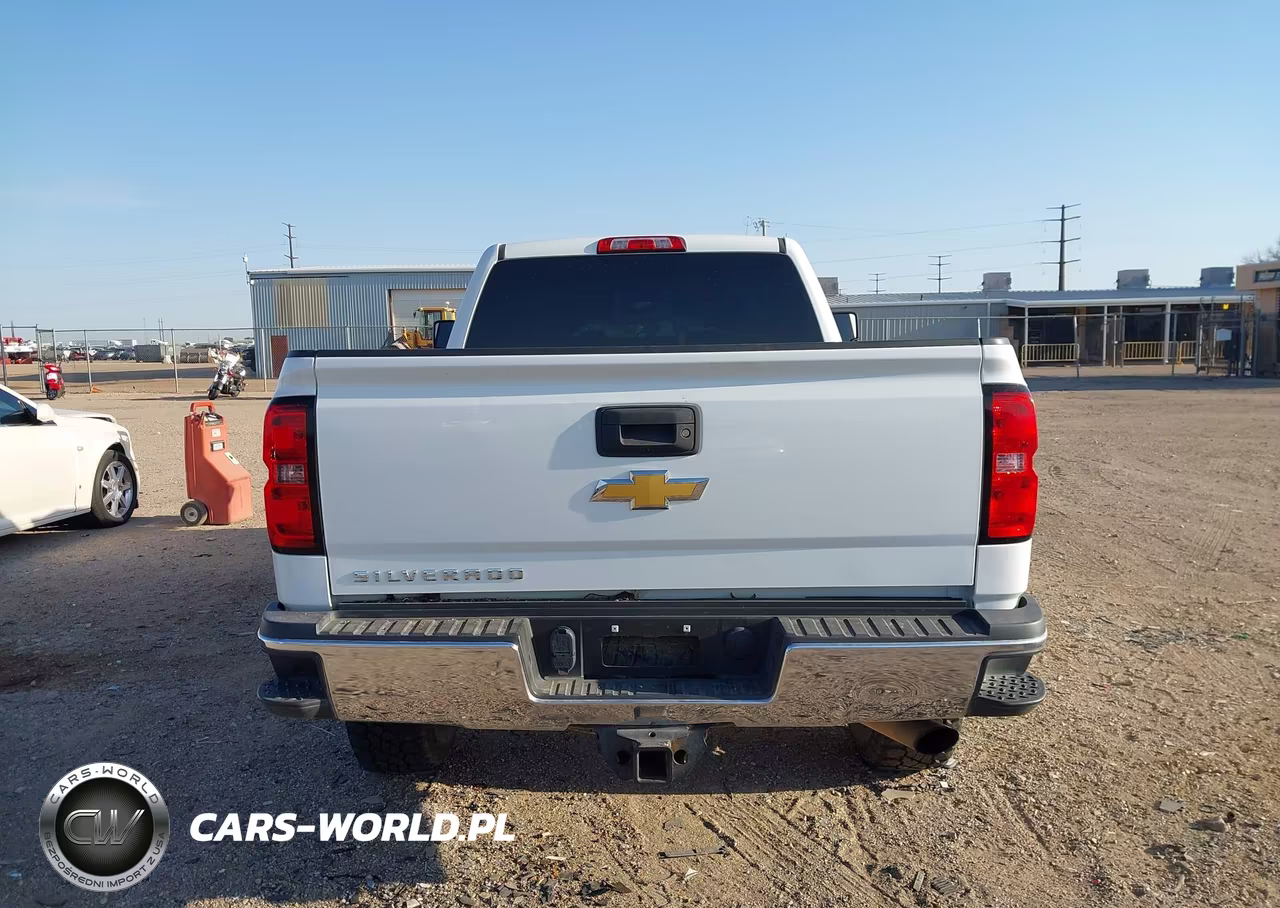 2019 Chevrolet Silverado 2500Hd Wt VIN:2GC2KREG3K1230846 - 17