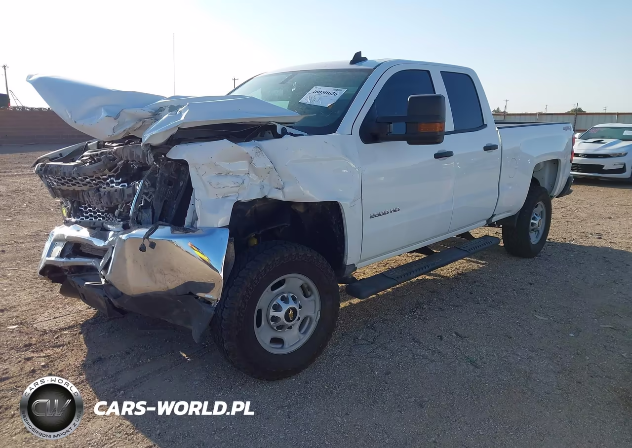 2019 Chevrolet Silverado 2500Hd Wt VIN:2GC2KREG3K1230846 - 2