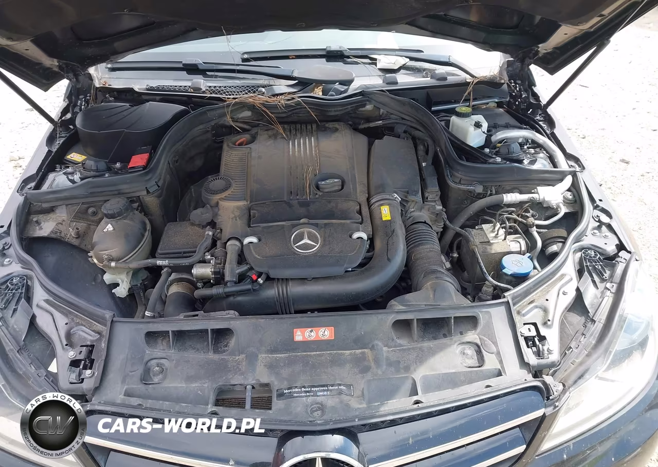 2014 Mercedes-Benz C 250 VIN:WDDGJ4HB1EG262705 - 10