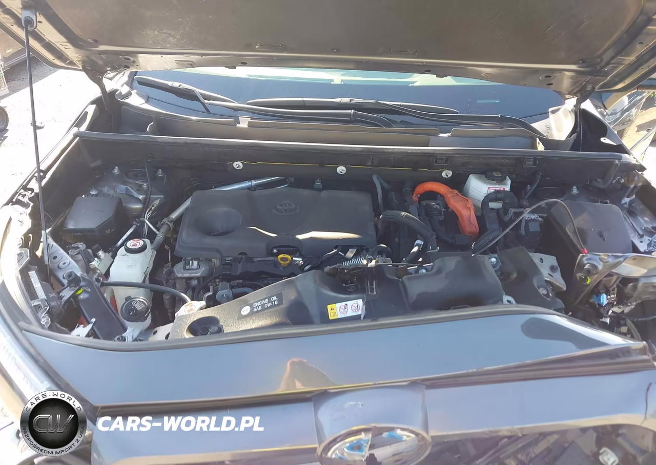 2024 Toyota Rav4 Hybrid Xle VIN:JTMRWRFV1RD241780 - 10