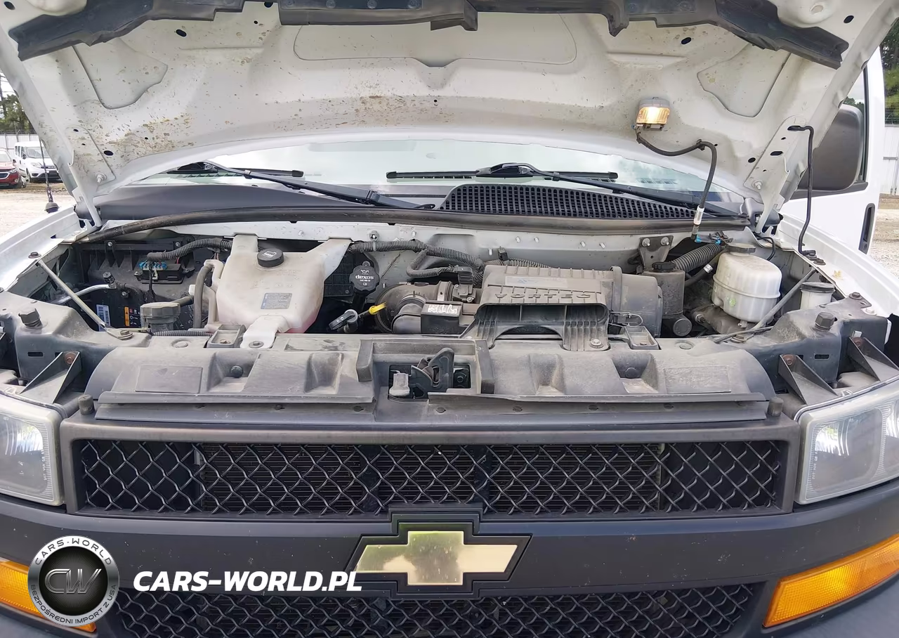 2019 Chevrolet Express 3500 Ls VIN:1GAZGNFG0K1289892 - 10