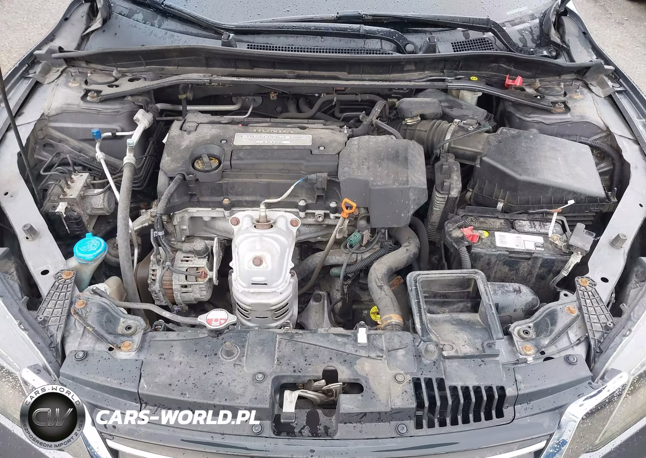 2013 Honda Accord Ex-L VIN:1HGCR2F87DA144304 - 10