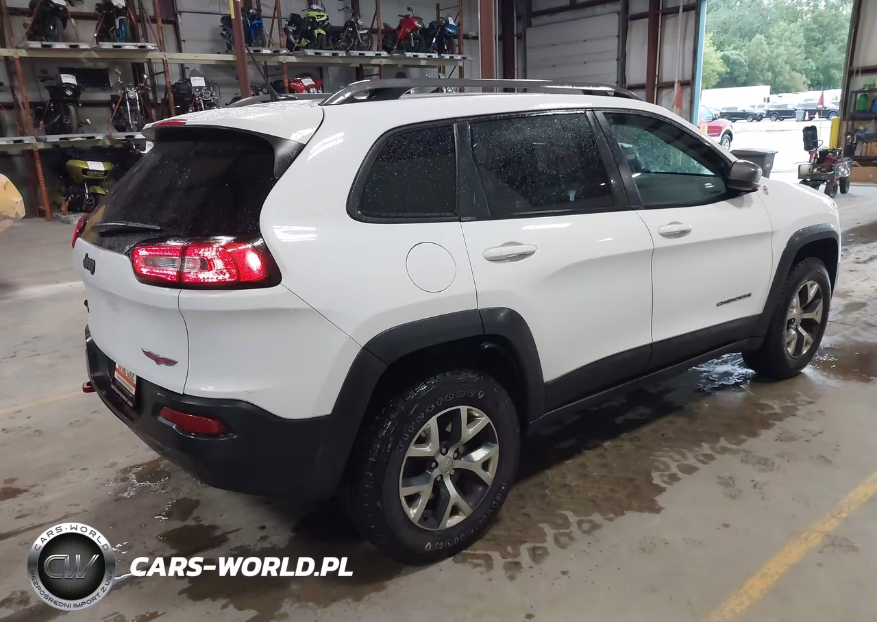 2014 Jeep Cherokee Trailhawk VIN:1C4PJMBB1EW311409 - 4