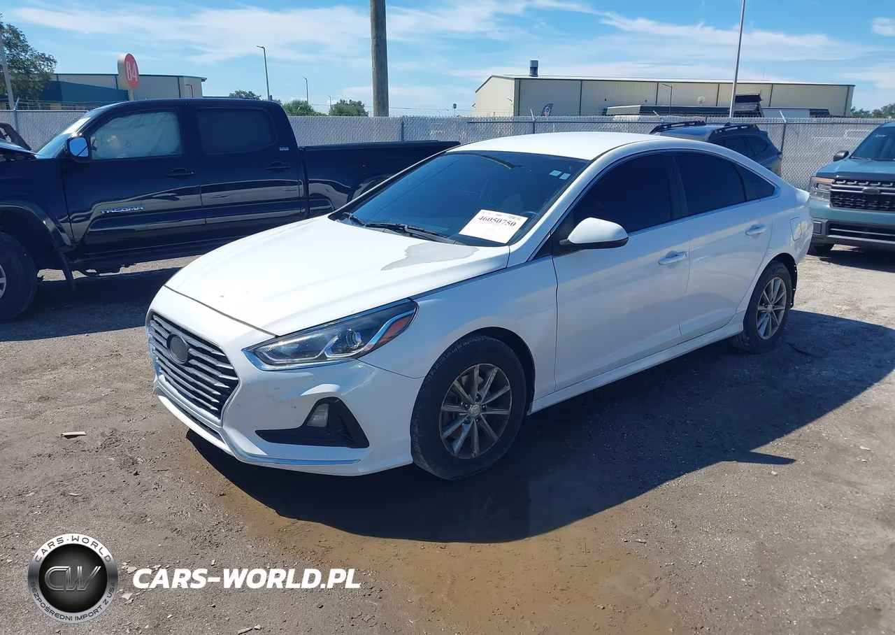 2018 Hyundai Sonata Se VIN:5NPE24AFXJH667981 - 2