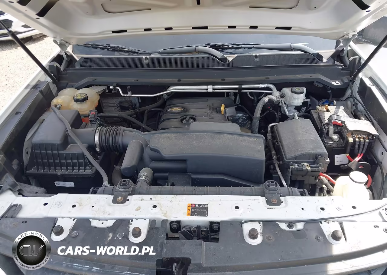 2019 Chevrolet Colorado Wt VIN:1GCHSBEA8K1243692 - 10