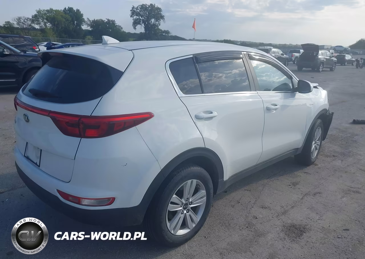 2019 Kia Sportage Lx VIN:KNDPMCAC3K7595868 - 4