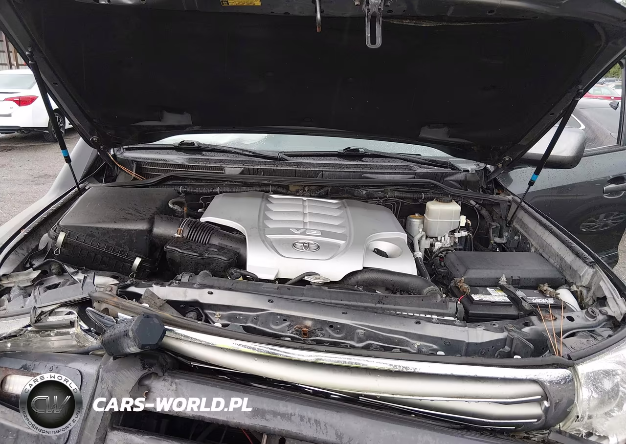 2009 Toyota Land Cruiser V8 VIN:JTMHY05J695004485 - 10