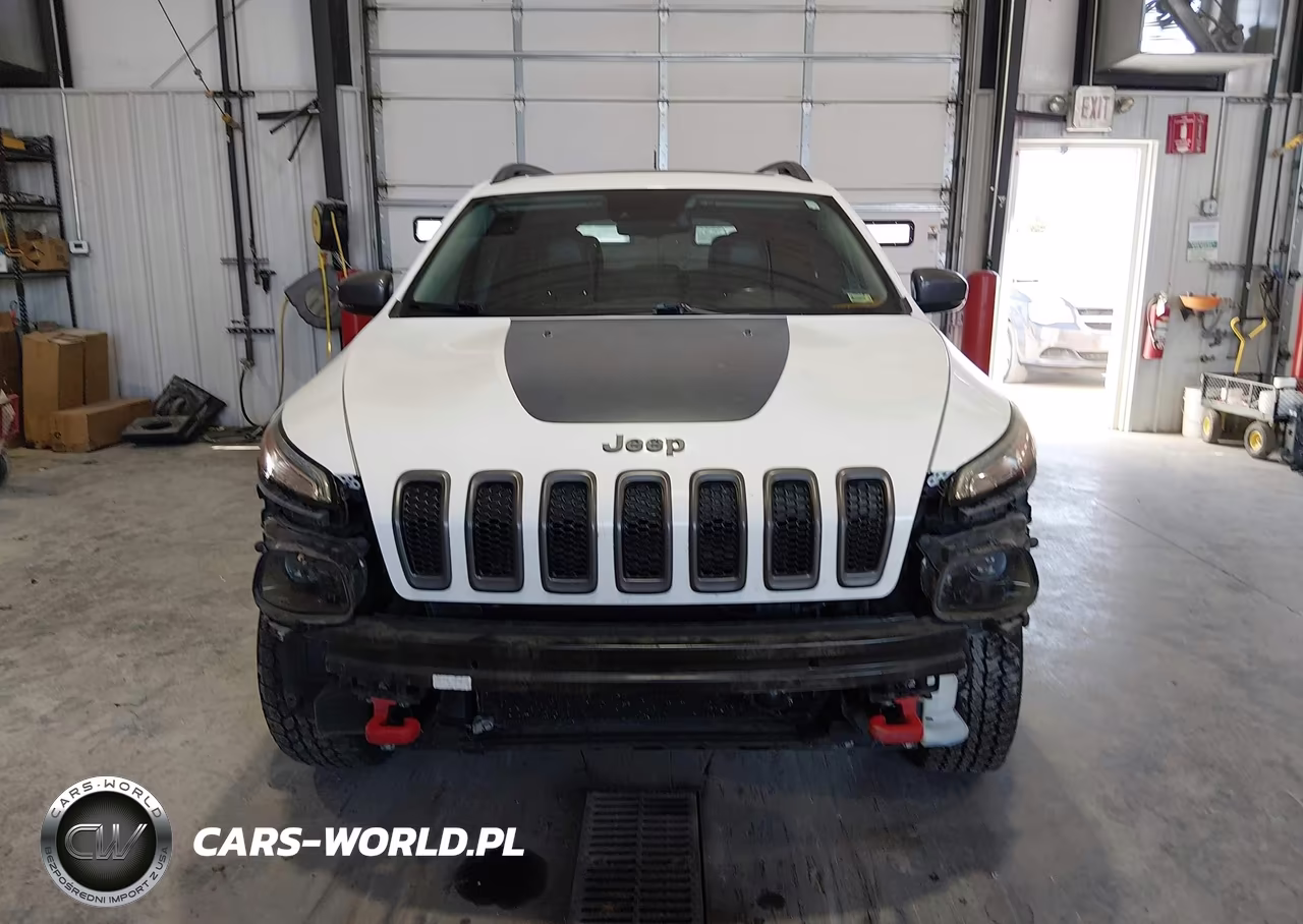 2016 Jeep Cherokee Trailhawk VIN:1C4PJMBS8GW220138 - 13