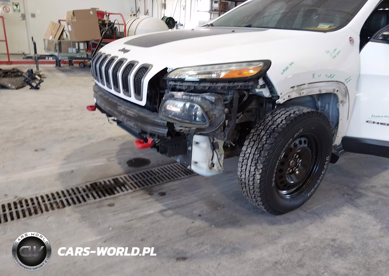 2016 Jeep Cherokee Trailhawk VIN:1C4PJMBS8GW220138 - 6