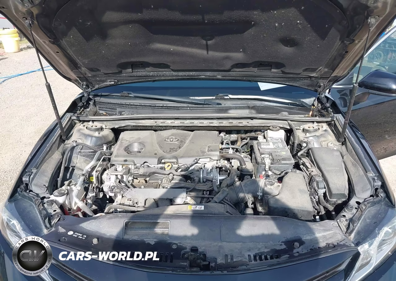 2020 Toyota Camry Le VIN:4T1C11AK4LU376614 - 10