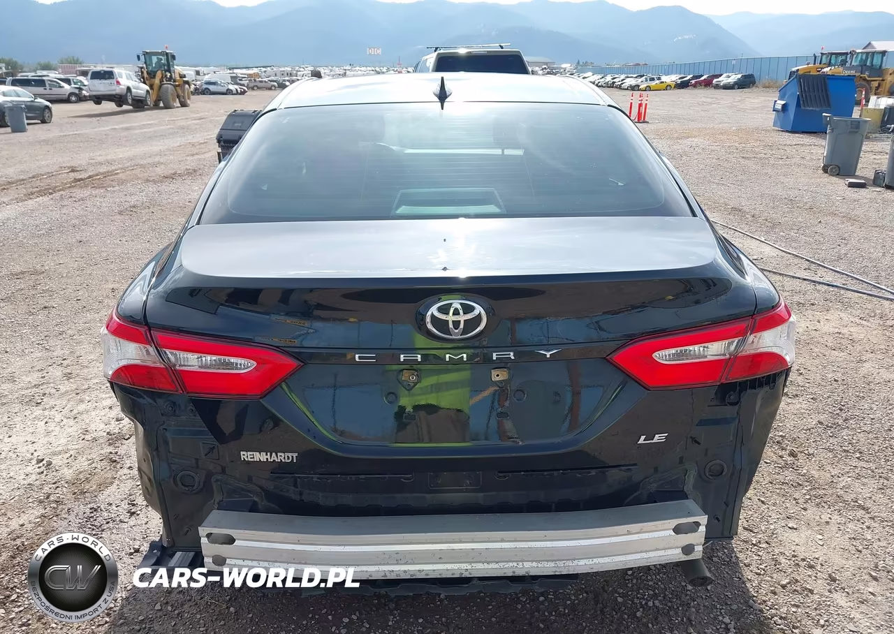 2020 Toyota Camry Le VIN:4T1C11AK4LU376614 - 17