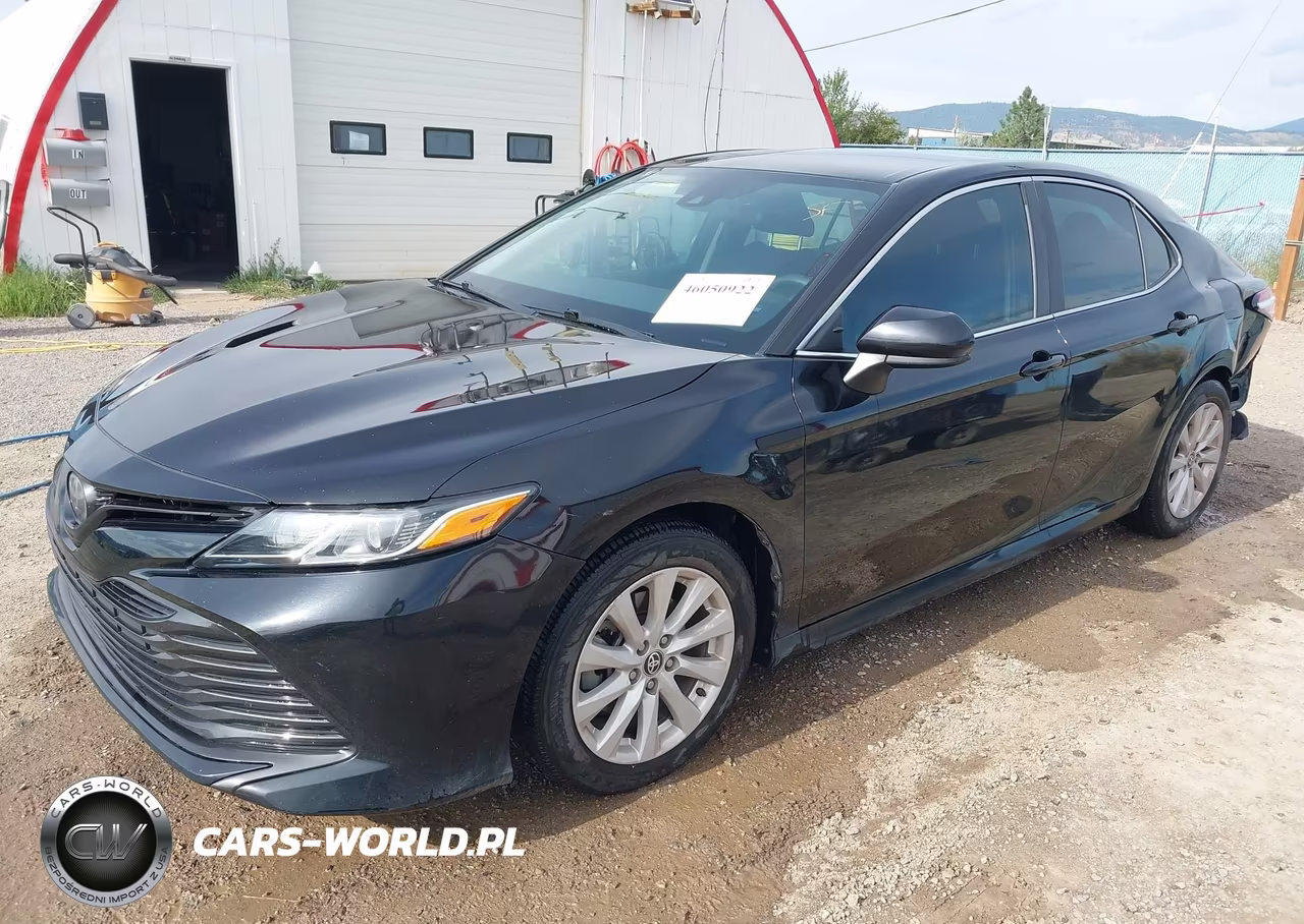 2020 Toyota Camry Le VIN:4T1C11AK4LU376614 - 2