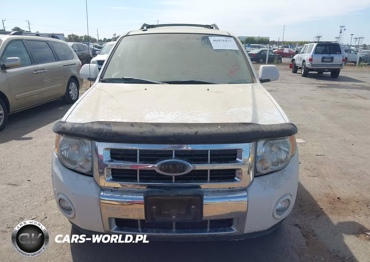 2010 Ford Escape Limited VIN:1FMCU0EG8AKD33300 - 12