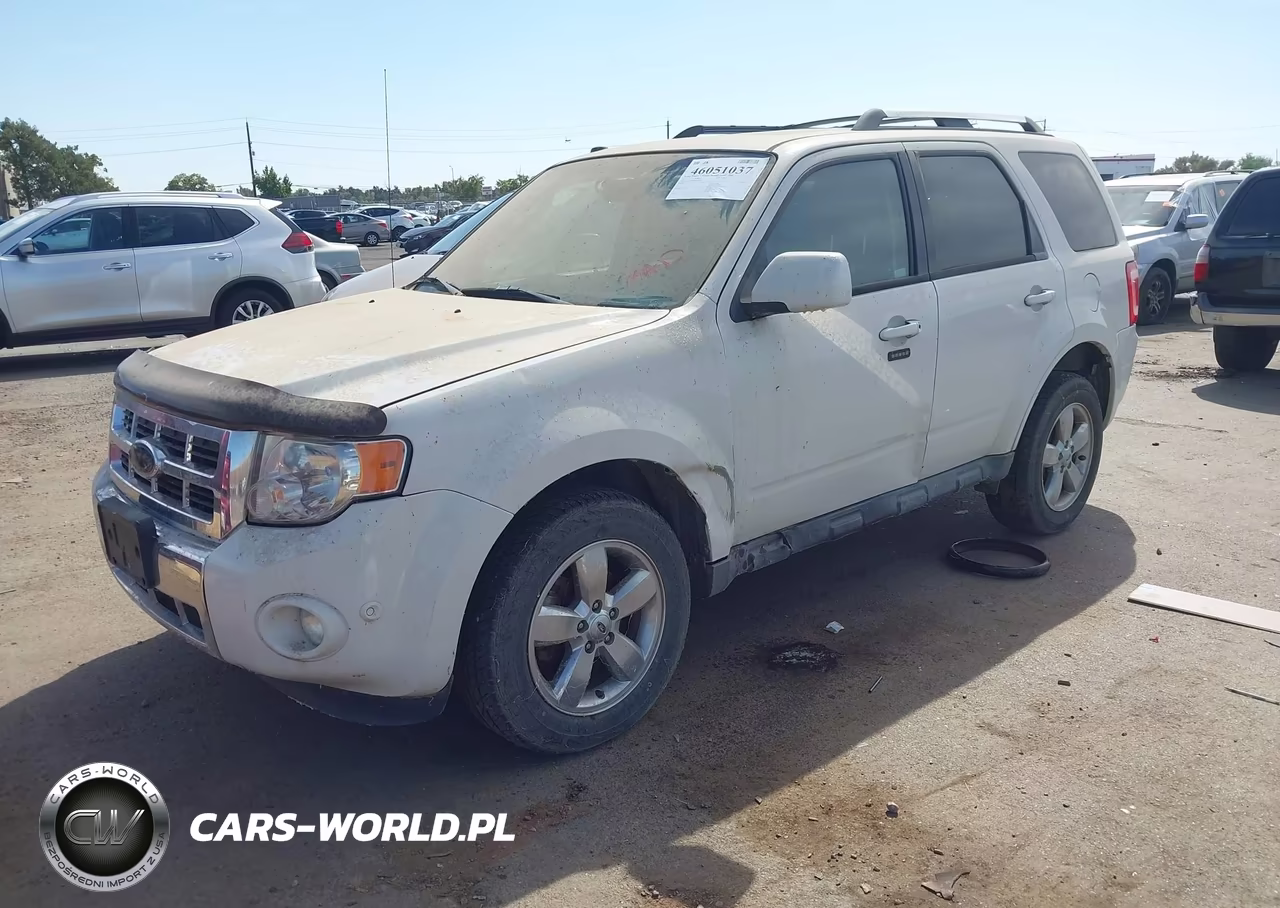 2010 Ford Escape Limited VIN:1FMCU0EG8AKD33300 - 2