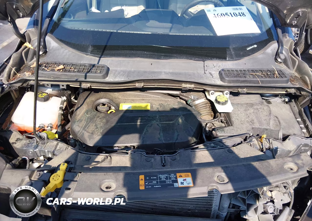 2014 Ford Escape Se VIN:1FMCU0GX9EUA19257 - 10