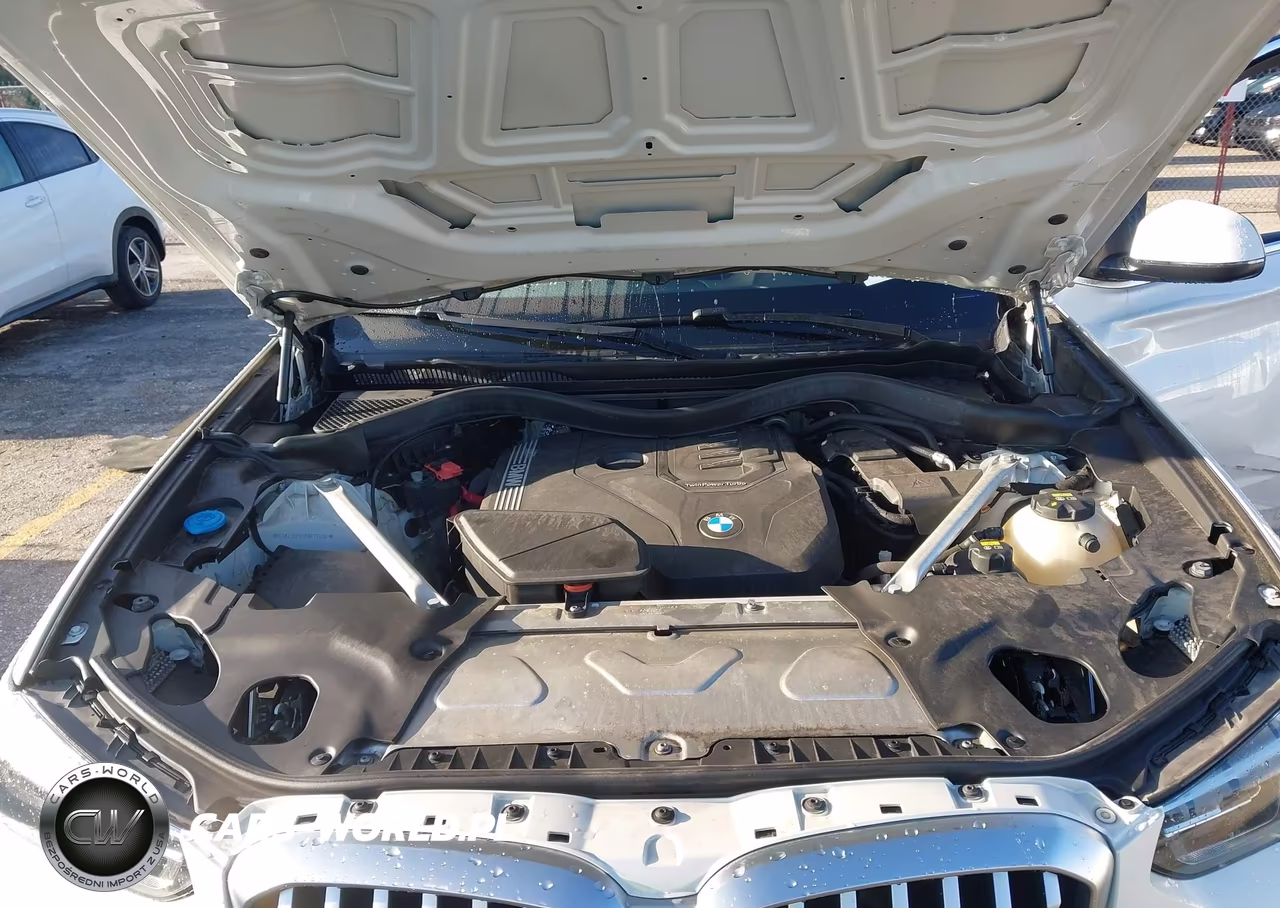 2023 BMW X3 Sdrive30I VIN:5UX43DP01P9P77894 - 10