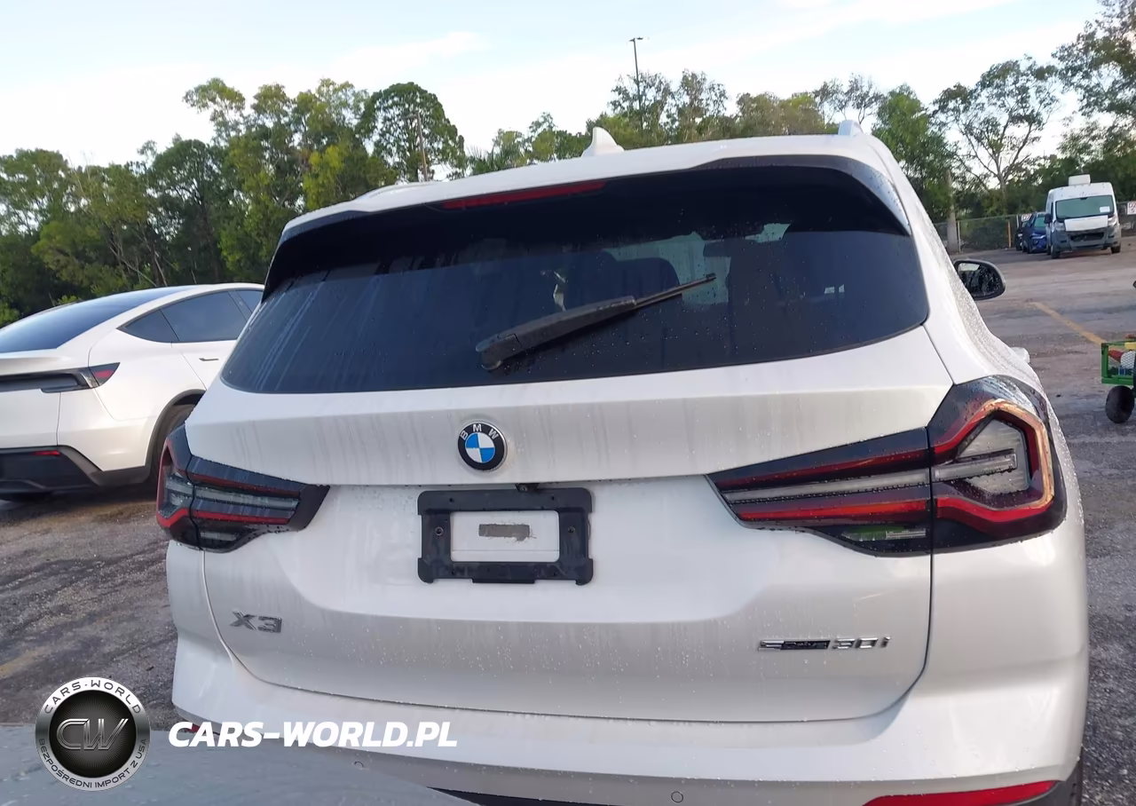 2023 BMW X3 Sdrive30I VIN:5UX43DP01P9P77894 - 16