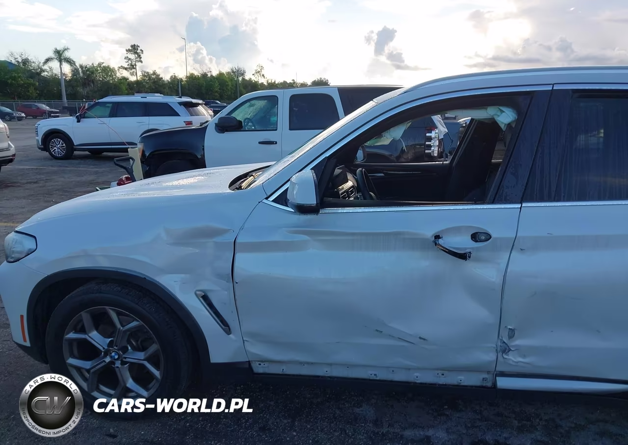 2023 BMW X3 Sdrive30I VIN:5UX43DP01P9P77894 - 6