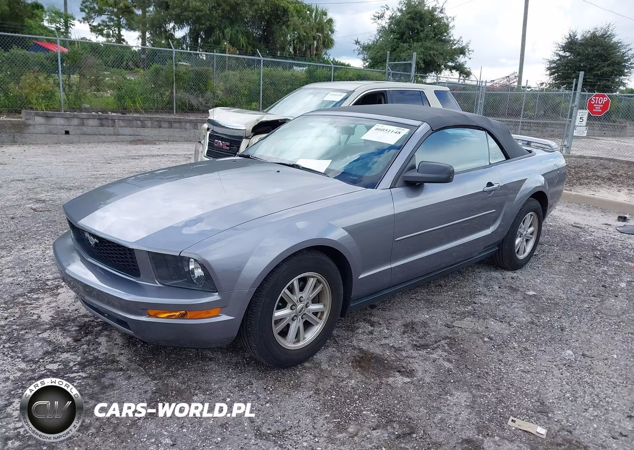 2006 Ford Mustang V6 VIN:1ZVFT84N265244411 - 2