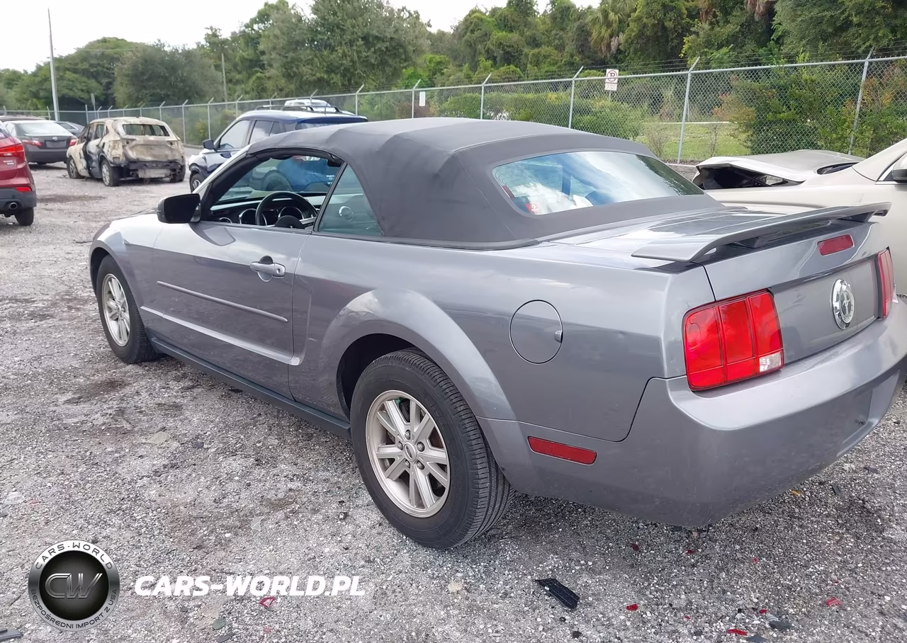 2006 Ford Mustang V6 VIN:1ZVFT84N265244411 - 3