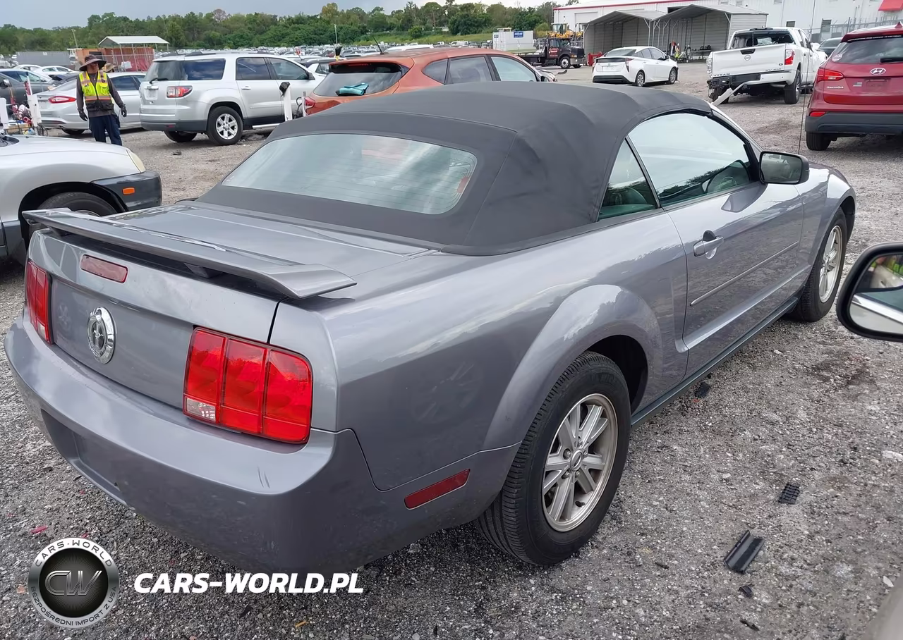 2006 Ford Mustang V6 VIN:1ZVFT84N265244411 - 4
