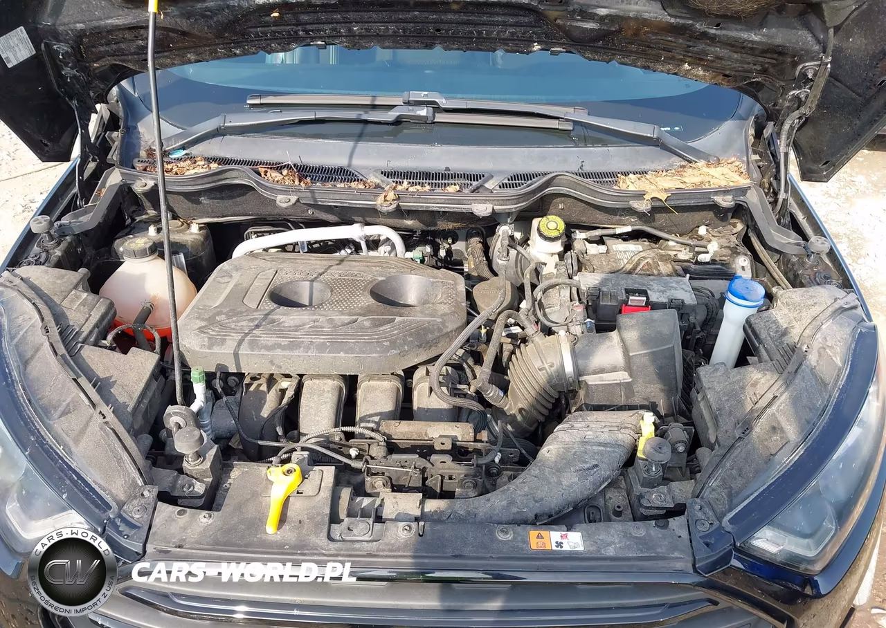 2020 Ford Ecosport Ses VIN:MAJ6S3JL9LC318786 - 10
