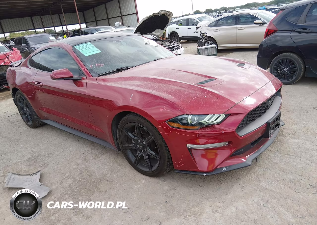 2019 Ford Mustang Ecoboost