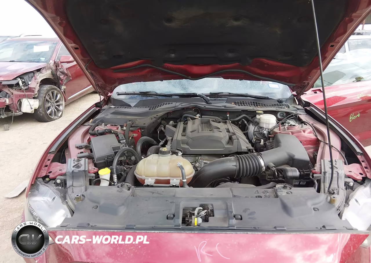 2019 Ford Mustang Ecoboost VIN:1FA6P8TH5K5134083 - 10