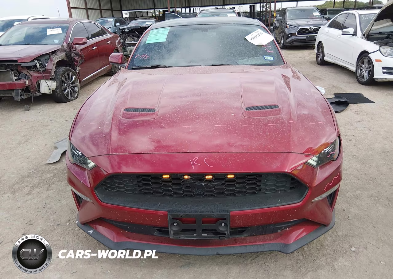 2019 Ford Mustang Ecoboost VIN:1FA6P8TH5K5134083 - 12