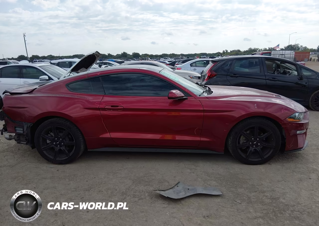 2019 Ford Mustang Ecoboost VIN:1FA6P8TH5K5134083 - 13