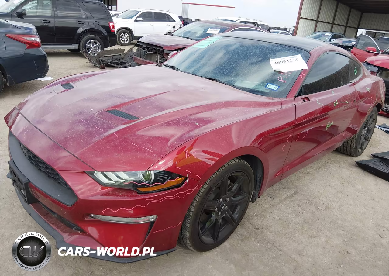 2019 Ford Mustang Ecoboost VIN:1FA6P8TH5K5134083 - 2