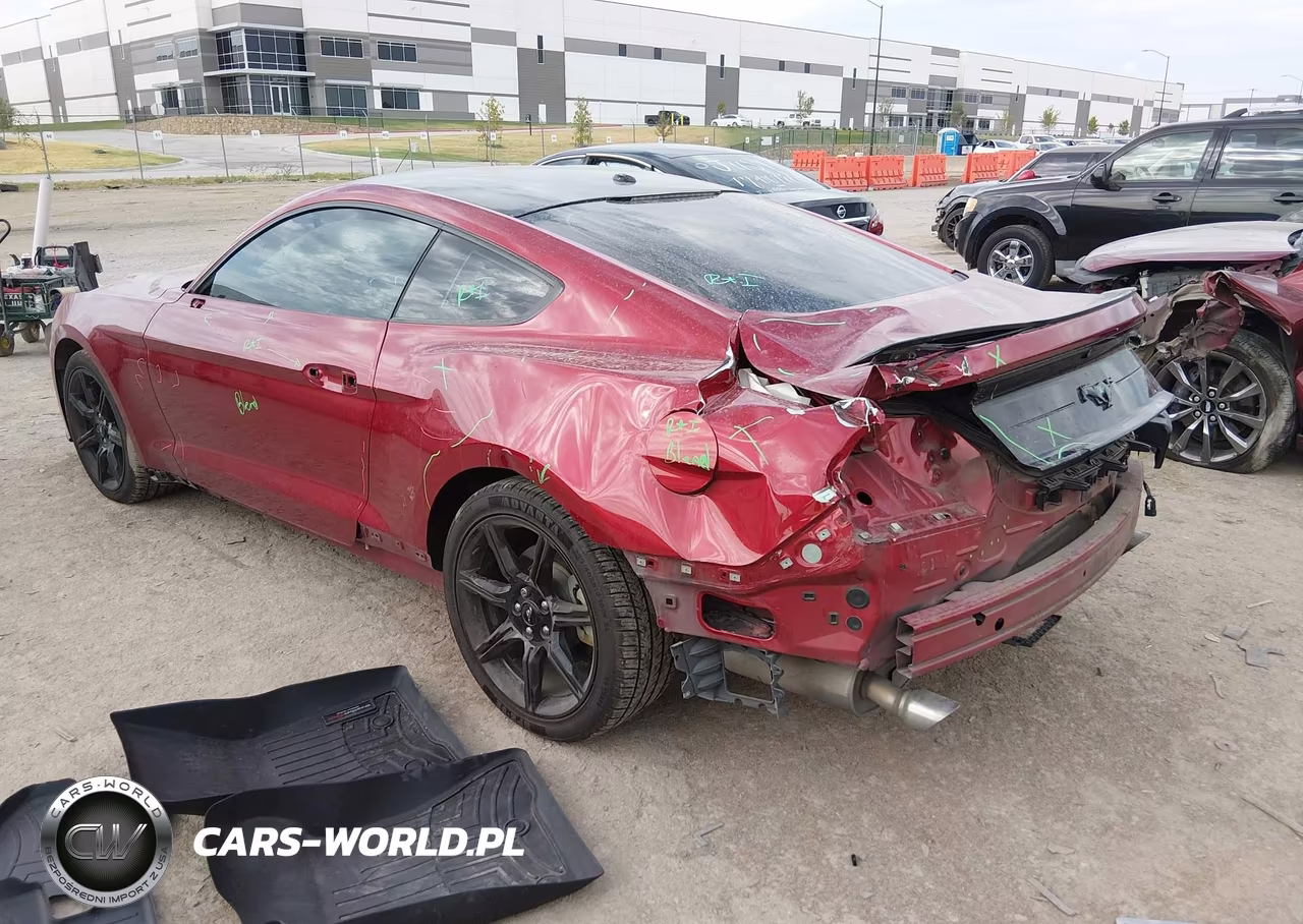 2019 Ford Mustang Ecoboost VIN:1FA6P8TH5K5134083 - 3