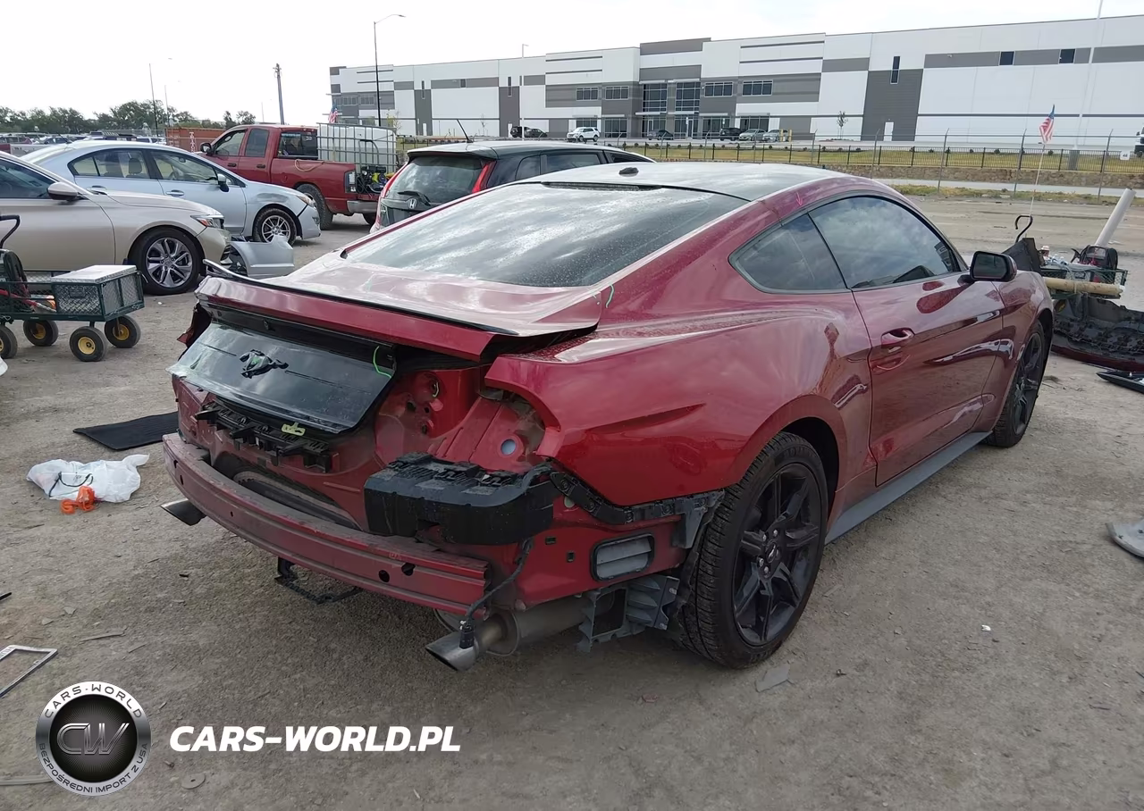 2019 Ford Mustang Ecoboost VIN:1FA6P8TH5K5134083 - 4