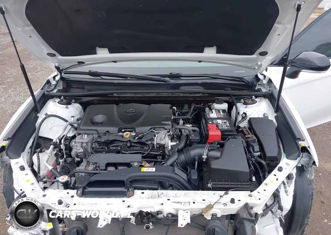 2019 Toyota Camry Xse VIN:4T1B61HK8KU236857 - 10