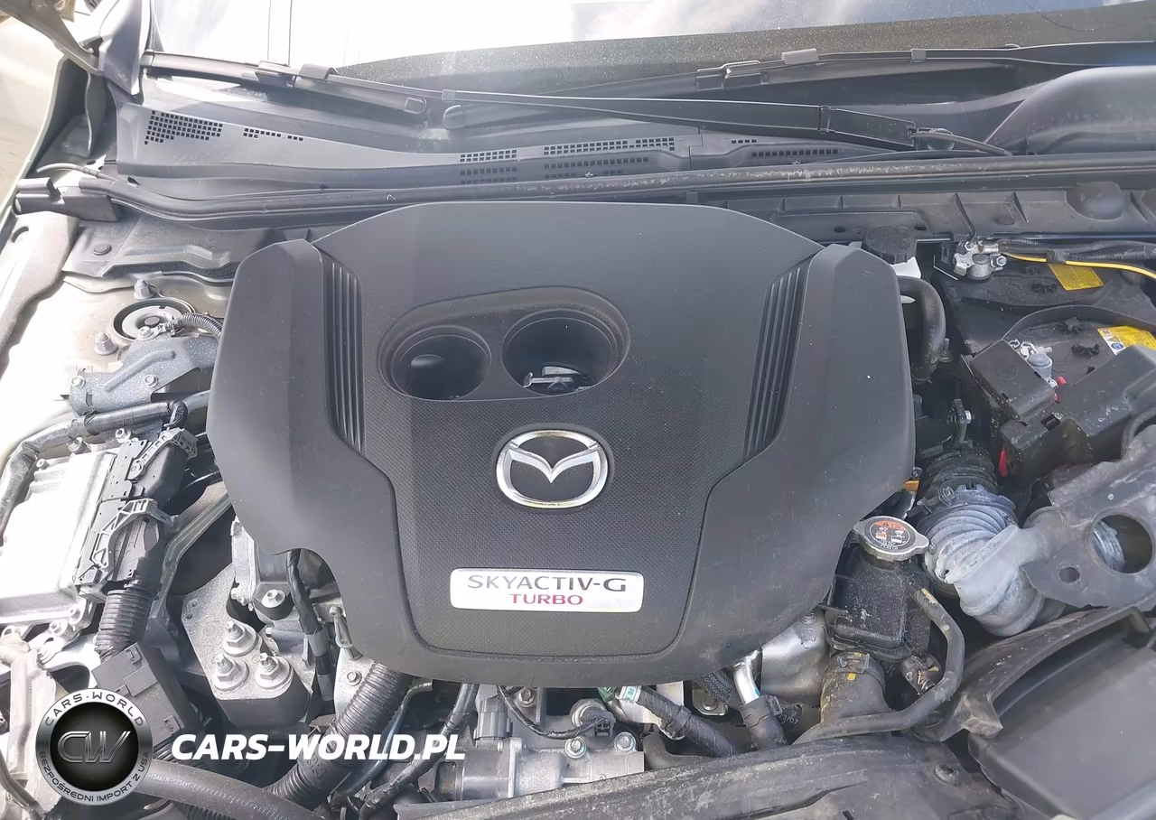 2024 Mazda Mazda3 2.5 Carbon Turbo VIN:JM1BPBYY7R1705346 - 10