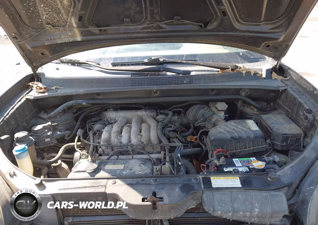 2005 Hyundai Tucson Gls-Lx VIN:KM8JN12D85U045419 - 10