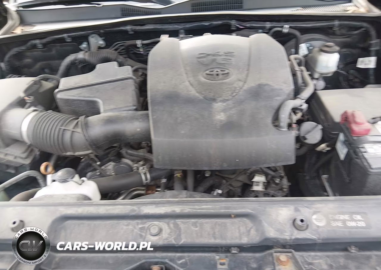 2019 Toyota Tacoma Trd Sport VIN:5TFCZ5AN1KX186281 - 10