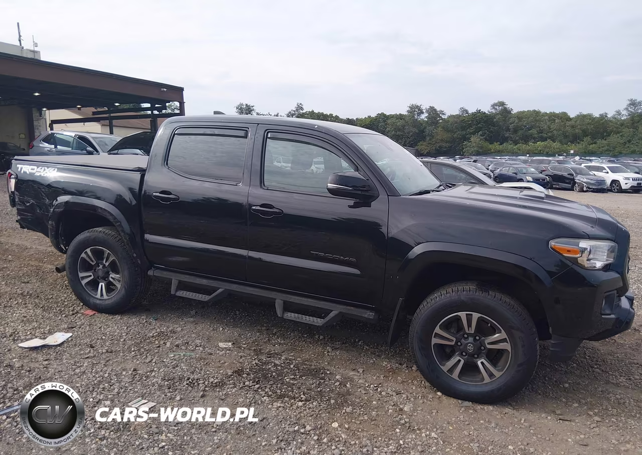 2019 Toyota Tacoma Trd Sport VIN:5TFCZ5AN1KX186281 - 13