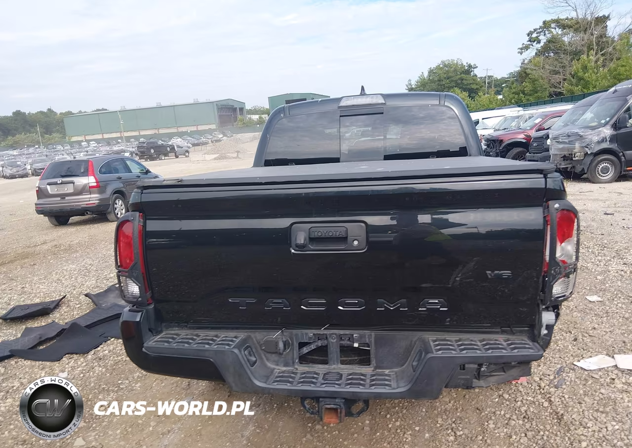 2019 Toyota Tacoma Trd Sport VIN:5TFCZ5AN1KX186281 - 16