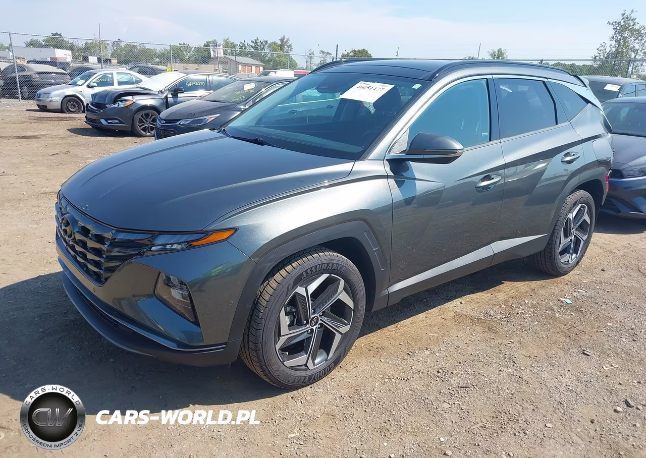 2022 Hyundai Tucson Limited VIN:5NMJECAE9NH053661 - 2