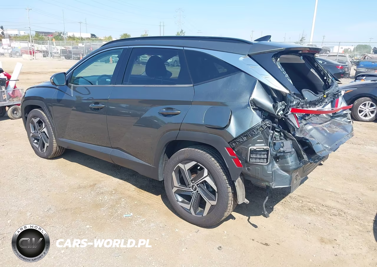 2022 Hyundai Tucson Limited VIN:5NMJECAE9NH053661 - 3